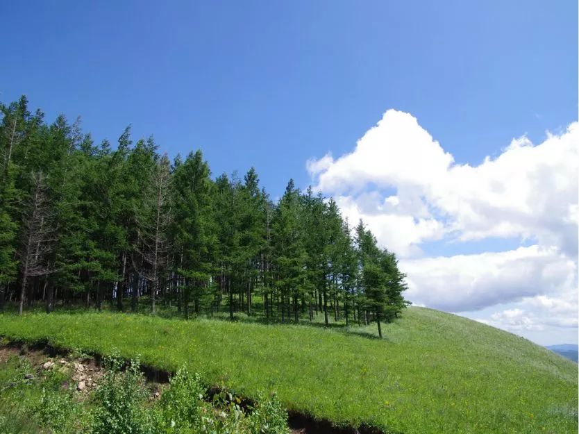 北京之北，国家一号风景大道美翻天！那里巨多的美景会令您流连忘返！