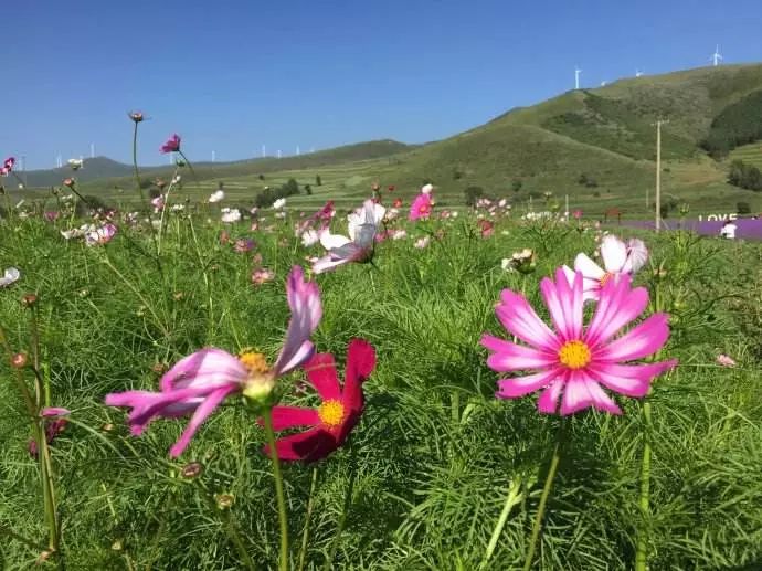 北京之北，国家一号风景大道美翻天！那里巨多的美景会令您流连忘返！